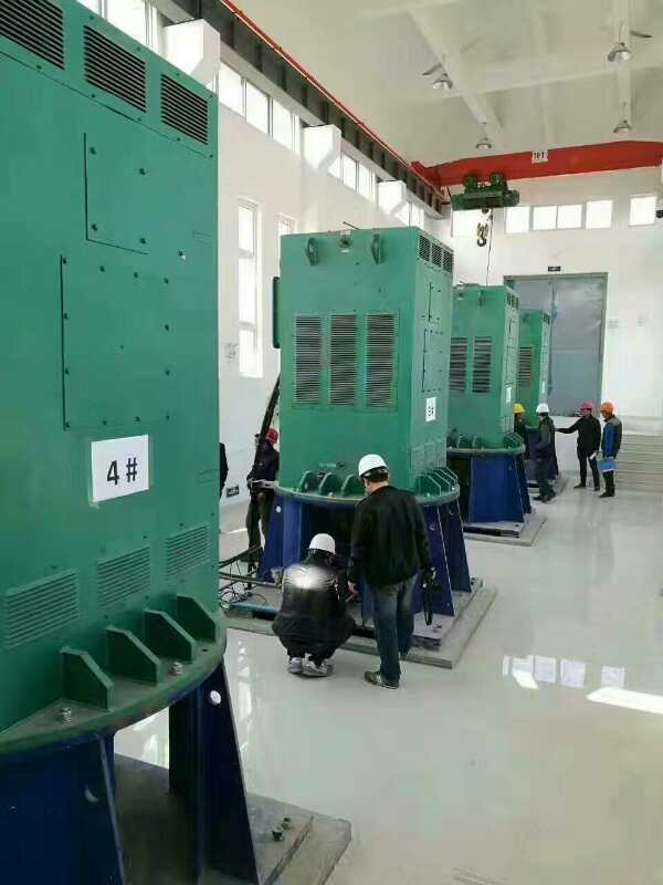 Y6302-12某污水处理厂使用我厂的立式高压电机安装现场生产厂家