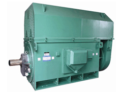 Y6302-12Y系列6KV高压电机